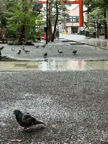 平塚八幡宮(神奈川県)