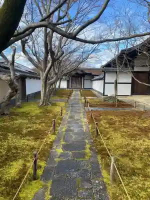 黄梅院の{uncategorized: "未分類", other: "その他", undefined: "問題あり", building: "その他建物", grave: "お墓", sacred_gate: "鳥居", guardian: "狛犬", statue: "像", buddha: "仏像", history: "歴史", nature: "自然", garden: "庭園", animal: "動物", pagoda: "塔", temizu: "手水舎", mountain_gate: "山門・神門", sanctuary: "本殿・本堂", subordinate: "末社・摂社", art: "芸術", scenery: "景色", jizo: "地蔵", ema: "絵馬", goshuin: "御朱印", omikuji: "おみくじ", items: "授与品その他", amulet: "お守り", goshuincho: "御朱印帳", eats: "食事", festival: "お祭り", votive_dance: "神楽", shichigosan: "七五三参", wedding: "結婚式", experience: "体験その他", initially: "初詣", around: "周辺", anti_infection: "感染症対策"}
