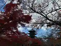 東寺(教王護国寺)(京都府)