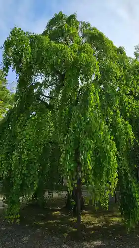 笠間稲荷神社の自然