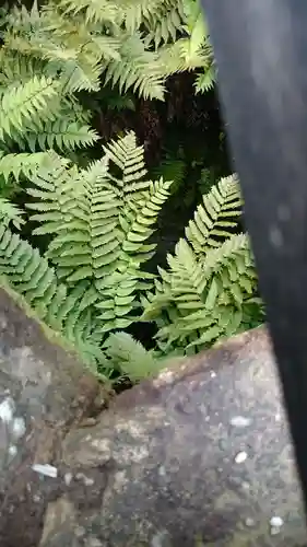 眞田神社の建物その他