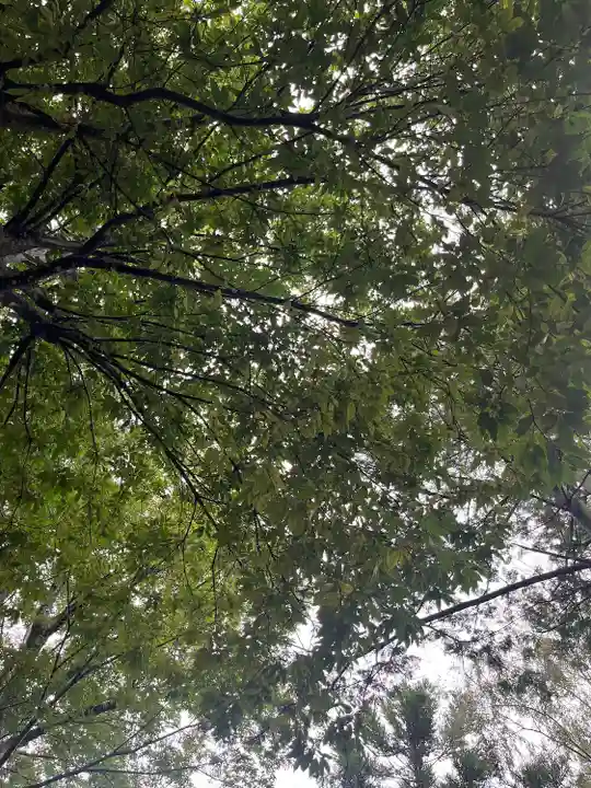 西根神社(福島県)