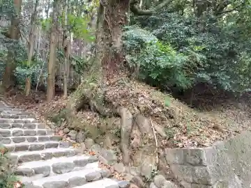 貴船神社(大神神社末社)の{uncategorized: "未分類", other: "その他", undefined: "問題あり", building: "その他建物", grave: "お墓", sacred_gate: "鳥居", guardian: "狛犬", statue: "像", buddha: "仏像", history: "歴史", nature: "自然", garden: "庭園", animal: "動物", pagoda: "塔", temizu: "手水舎", mountain_gate: "山門・神門", sanctuary: "本殿・本堂", subordinate: "末社・摂社", art: "芸術", scenery: "景色", jizo: "地蔵", ema: "絵馬", goshuin: "御朱印", omikuji: "おみくじ", items: "授与品その他", amulet: "お守り", goshuincho: "御朱印帳", eats: "食事", festival: "お祭り", votive_dance: "神楽", shichigosan: "七五三参", wedding: "結婚式", experience: "体験その他", initially: "初詣", around: "周辺", anti_infection: "感染症対策"}