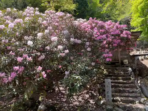 月輪寺(京都府)
