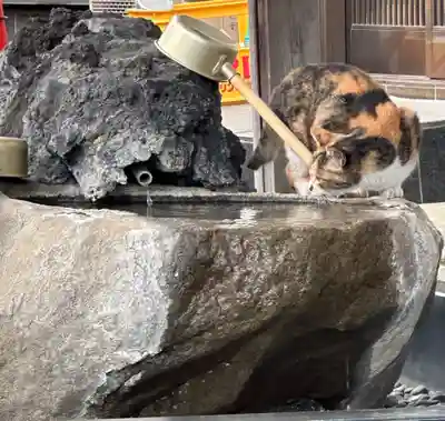 大久保山 自性院(神奈川県)