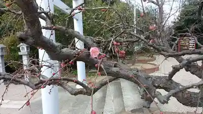 比佐豆知神社(三重県)