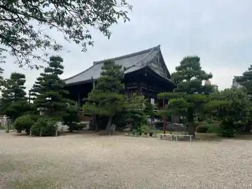 常楽寺の庭園