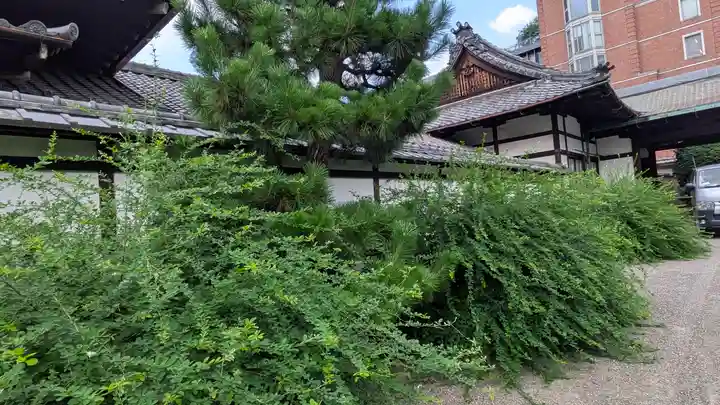 大聖寺門跡(京都府)