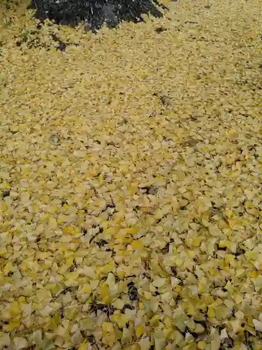 慈徳院(愛知県)