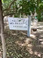 手力雄神社の建物その他