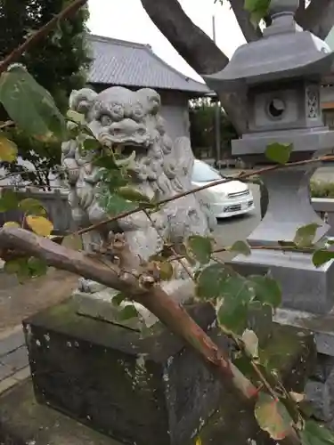 八幡大神の狛犬