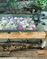 東海市熊野神社の手水舎