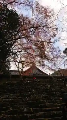 高源寺のその他建物