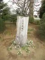 千勝神社のその他建物