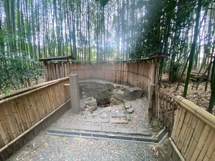 隨心院(随心院)(京都府)