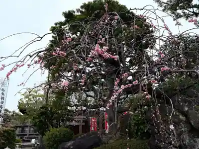 総持寺(大阪府)