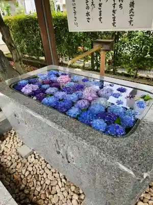 桜神宮(東京都)