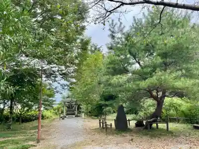 白龍弁財天社(雷電神社末社)(群馬県)