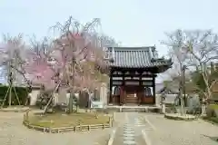 平等院(京都府)