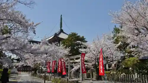 本法寺のその他建物