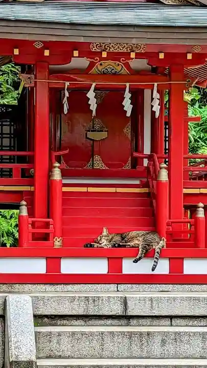 白金氷川神社の動物