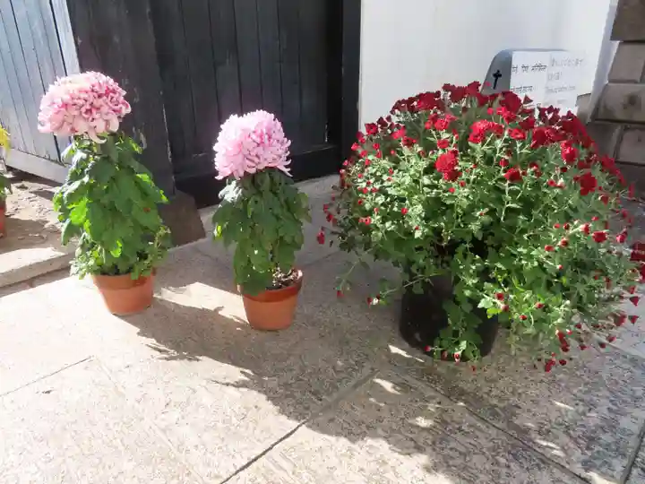 谷中 妙福寺(東京都)