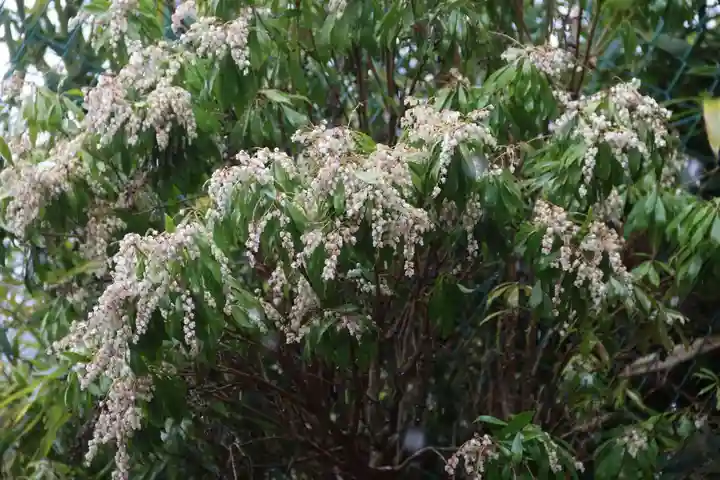 長屋神社の自然