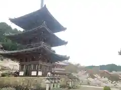 南法華寺（壷阪寺）(奈良県)