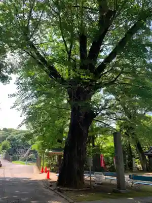 弘誓院(千葉県)