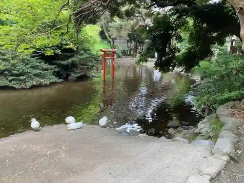 平塚八幡宮(神奈川県)