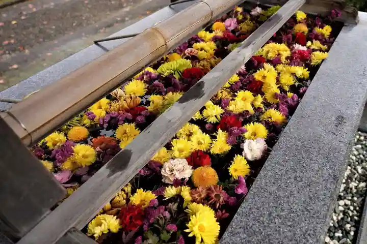 豊景神社の手水舎