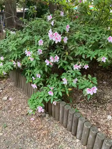 青山熊野神社(東京都)