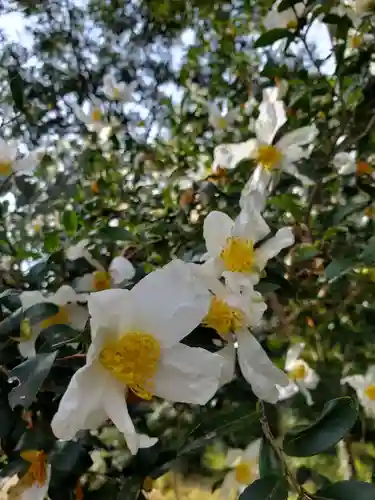 沙沙貴神社(滋賀県)