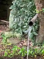 清滝寺の建物その他