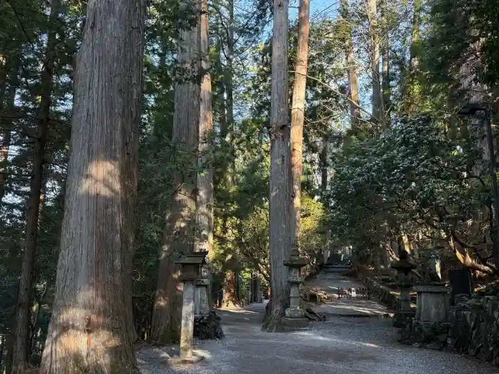 三峯神社の{uncategorized: "未分類", other: "その他", undefined: "問題あり", building: "その他建物", grave: "お墓", sacred_gate: "鳥居", guardian: "狛犬", statue: "像", buddha: "仏像", history: "歴史", nature: "自然", garden: "庭園", animal: "動物", pagoda: "塔", temizu: "手水舎", mountain_gate: "山門・神門", sanctuary: "本殿・本堂", subordinate: "末社・摂社", art: "芸術", scenery: "景色", jizo: "地蔵", ema: "絵馬", goshuin: "御朱印", omikuji: "おみくじ", items: "授与品その他", amulet: "お守り", goshuincho: "御朱印帳", eats: "食事", festival: "お祭り", votive_dance: "神楽", shichigosan: "七五三参", wedding: "結婚式", experience: "体験その他", initially: "初詣", around: "周辺", anti_infection: "感染症対策"}