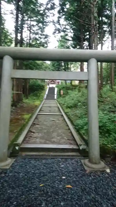 眞名井神社(籠神社奥宮)の鳥居