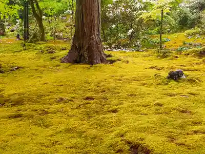 三千院門跡(京都府)