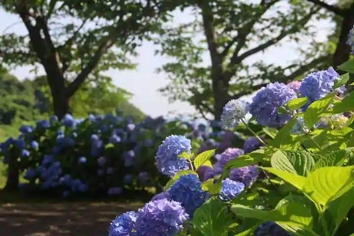 陽林寺(福島県)