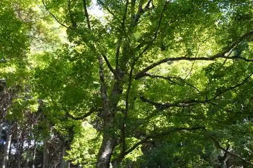 大原寺勝林院の自然