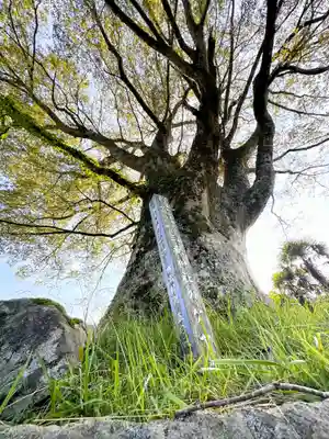 三嶽神社(京都府)