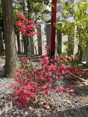 總社 和田八幡宮の自然