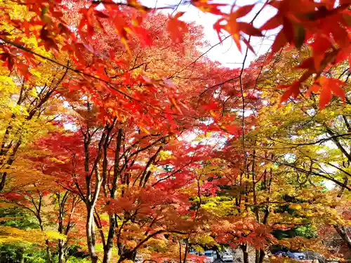 土津神社｜こどもと出世の神さまの自然