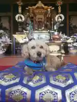 聖光寺の本殿・本堂