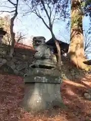 金櫻神社の狛犬