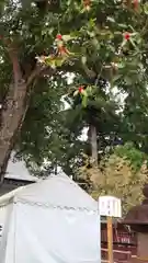 志波彦神社・鹽竈神社の自然