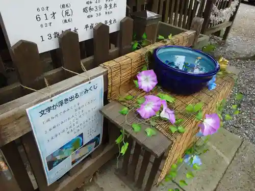 阿邪訶根神社のおみくじ