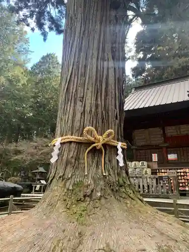 北口本宮冨士浅間神社(山梨県)