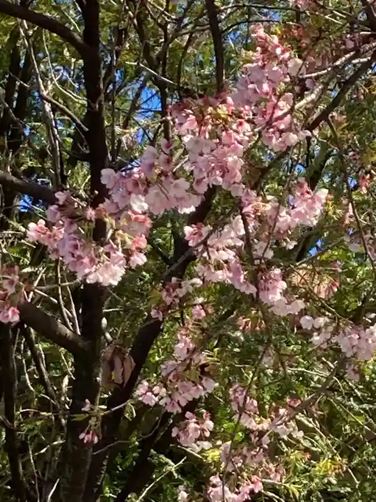 豊川稲荷東京別院の自然