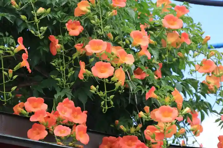 大鏑神社の自然