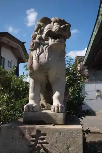 金刀比羅神社の狛犬